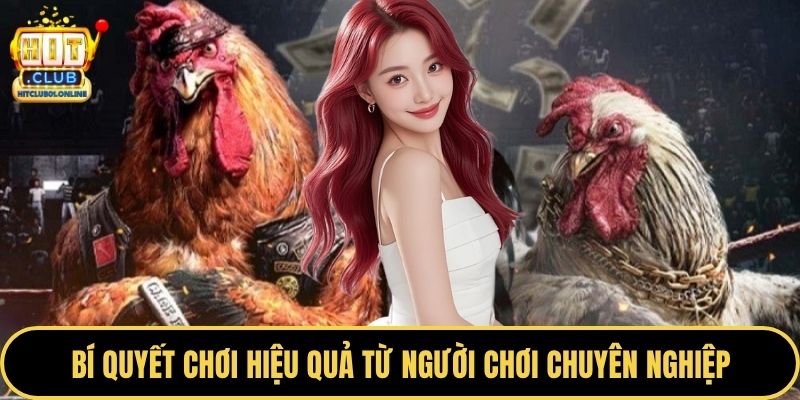 Bí quyết chơi hiệu quả từ người chơi chuyên nghiệp