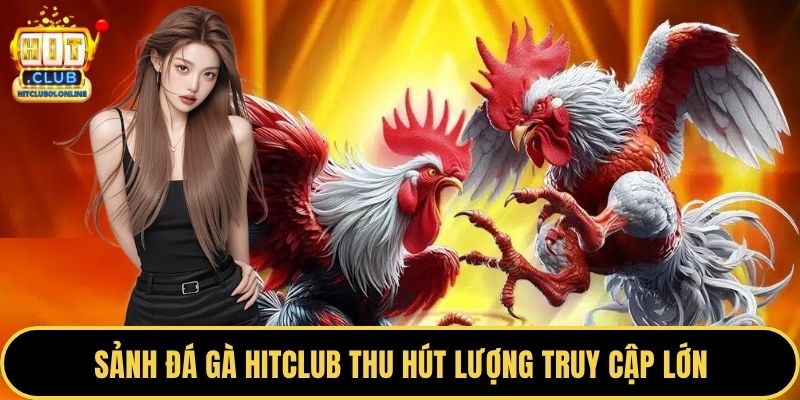 Sảnh đá gà HITCLUB thu hút lượng truy cập lớn