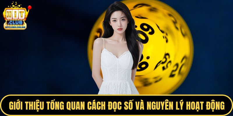 Giới thiệu tổng quan cách đọc số và nguyên lý hoạt động