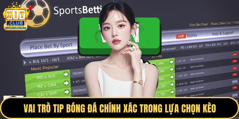 Vai trò tip bóng đá chính xác trong lựa chọn kèo